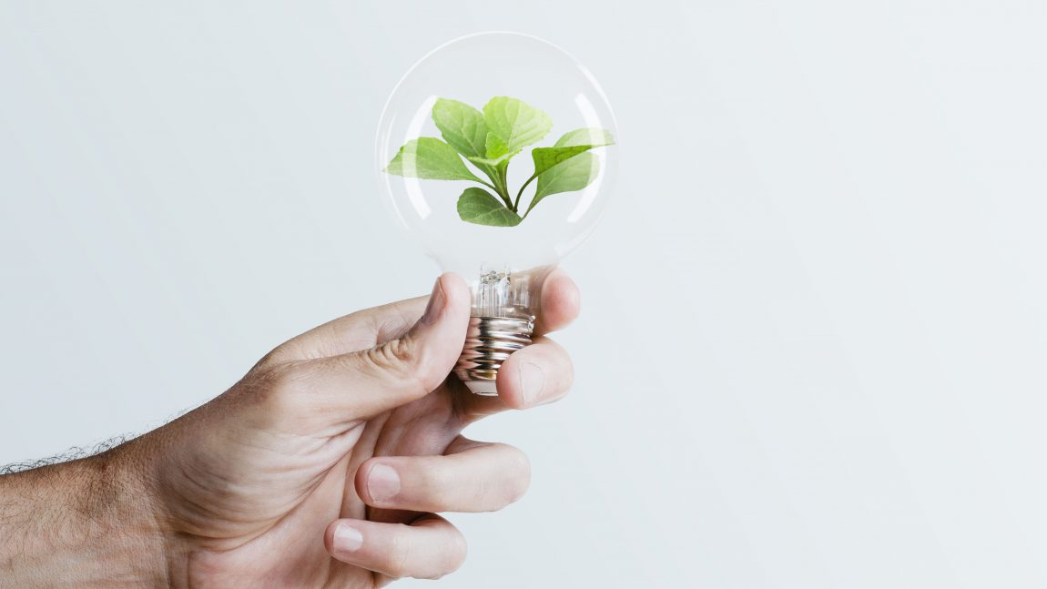 04 consejos para que  las empresas puedan optimizar el ahorro de energía